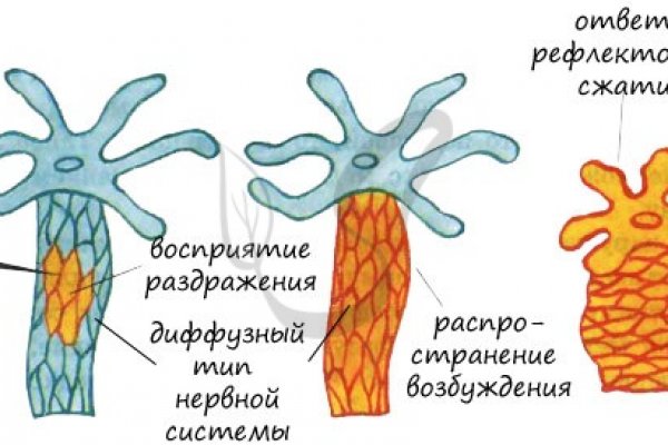 Kraken ем